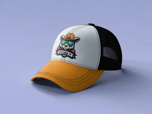 Referencia visual: gorra 2.webp